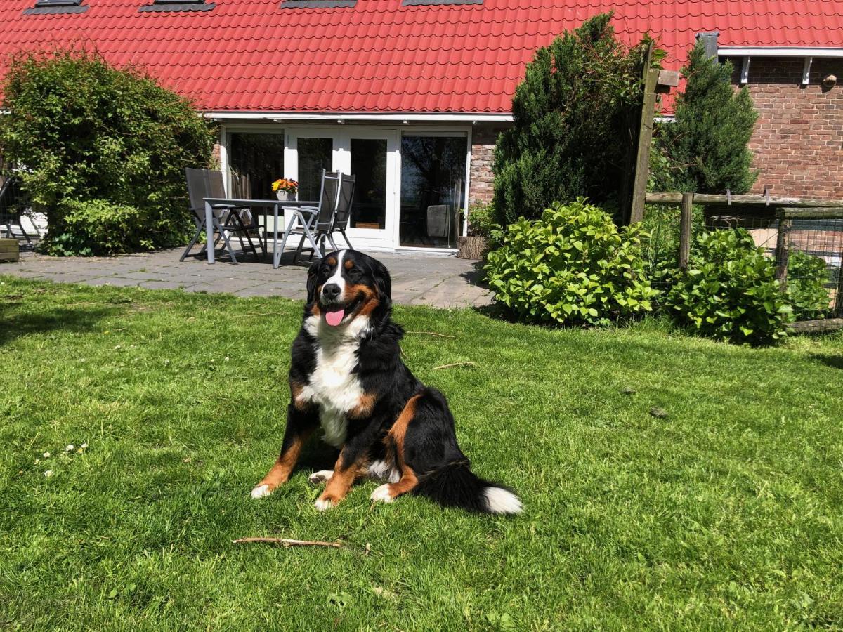 Appartementen Verhuur De Trijehoek Stiens Exterior foto